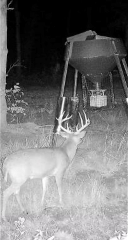 Picture 12