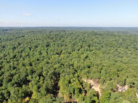 Secluded Hunting Land with Unfinished Cabin