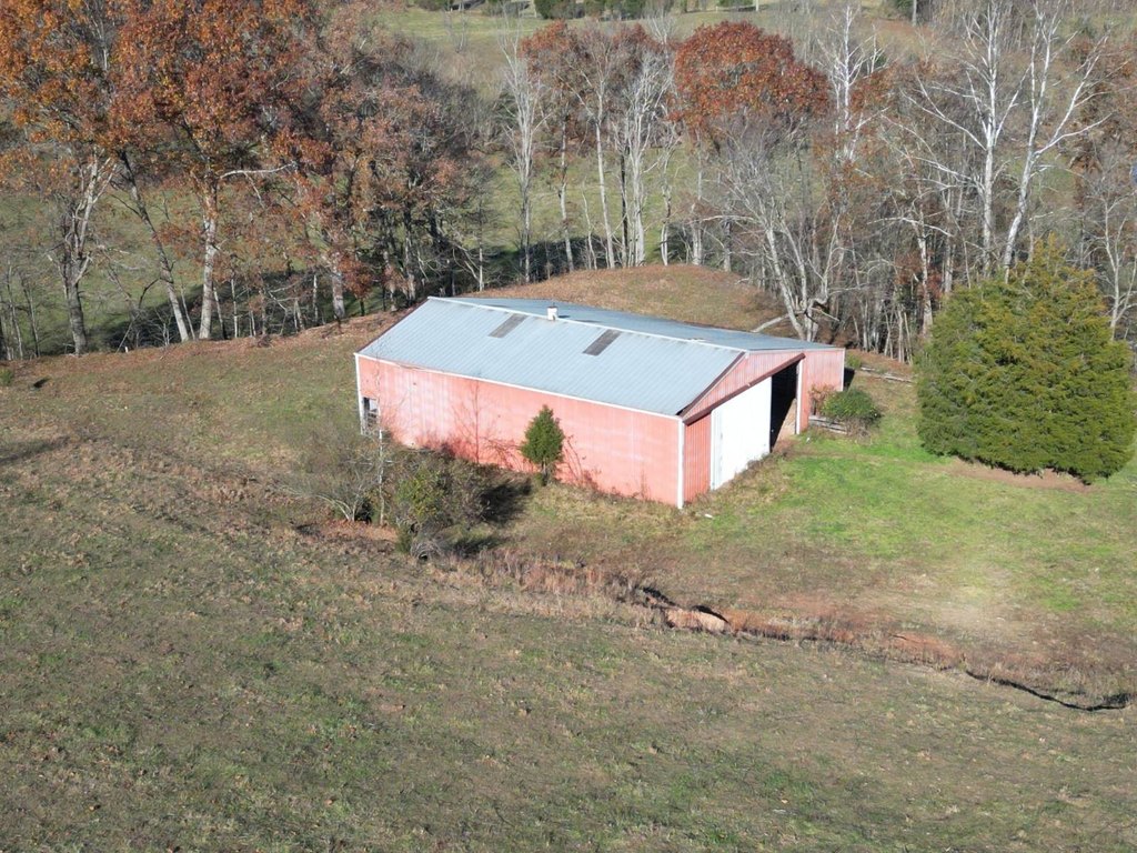 Picture 15