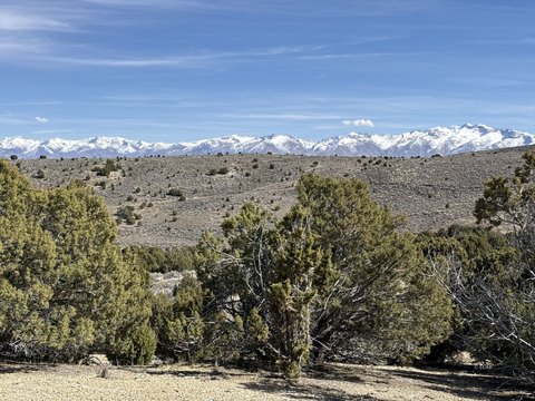 Elko Homesite with Mountain Views