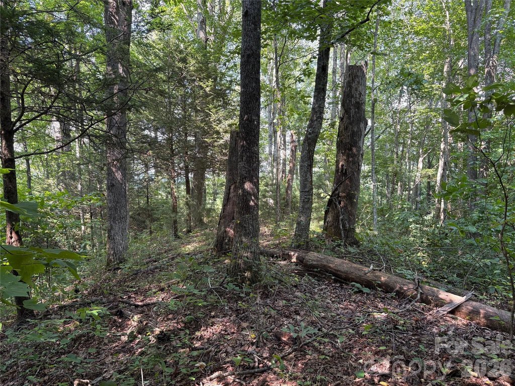Picture 27