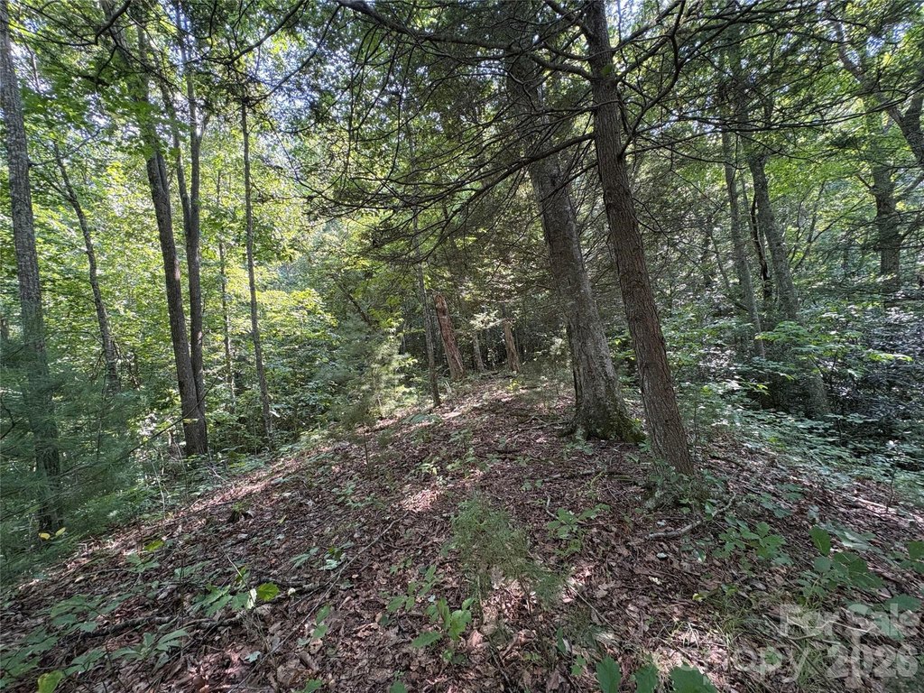 Picture 25