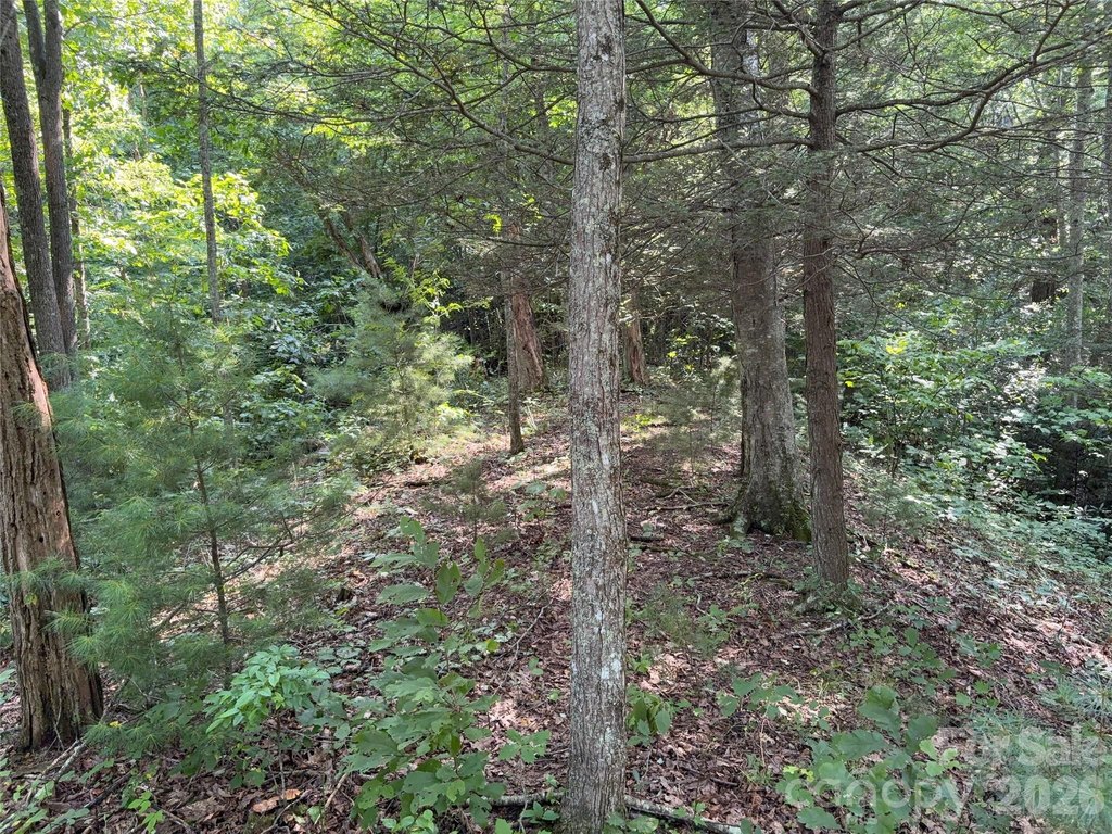 Picture 23