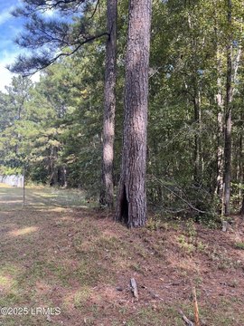 Wooded Lot in Ridgeland, SC