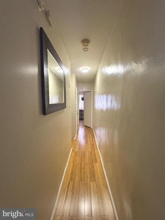 Picture 14