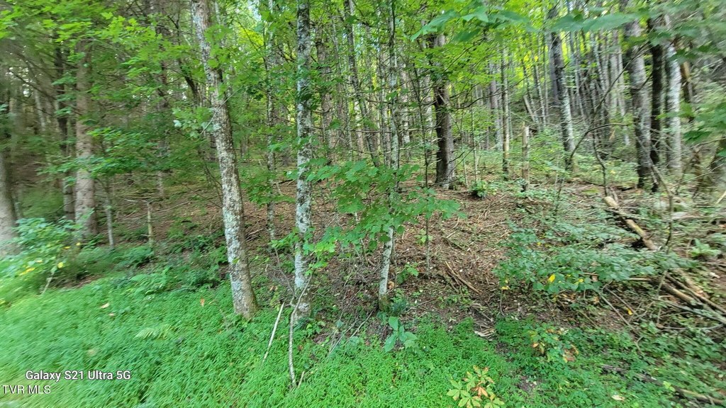 Picture 13