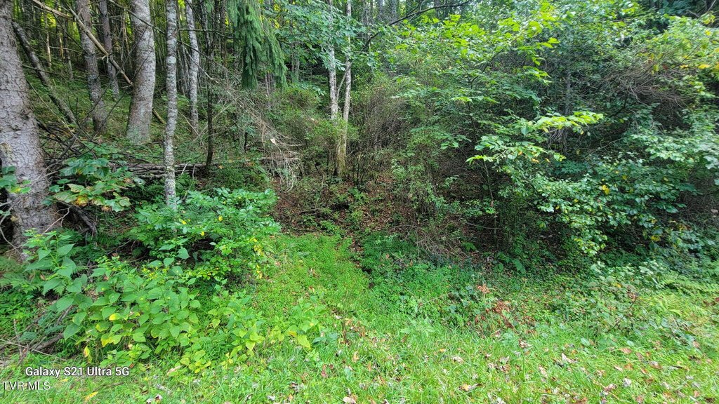 Picture 18