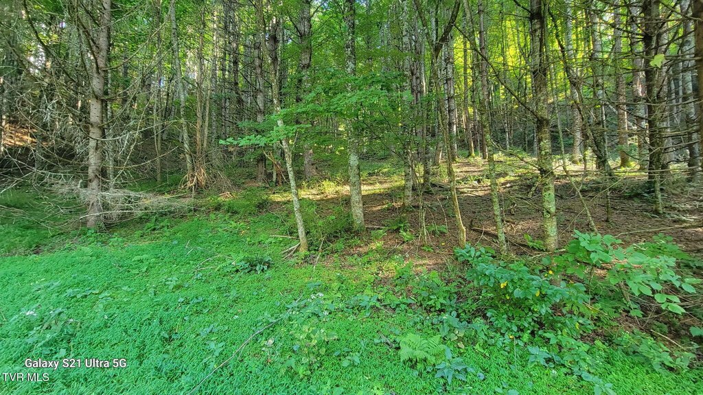 Picture 20