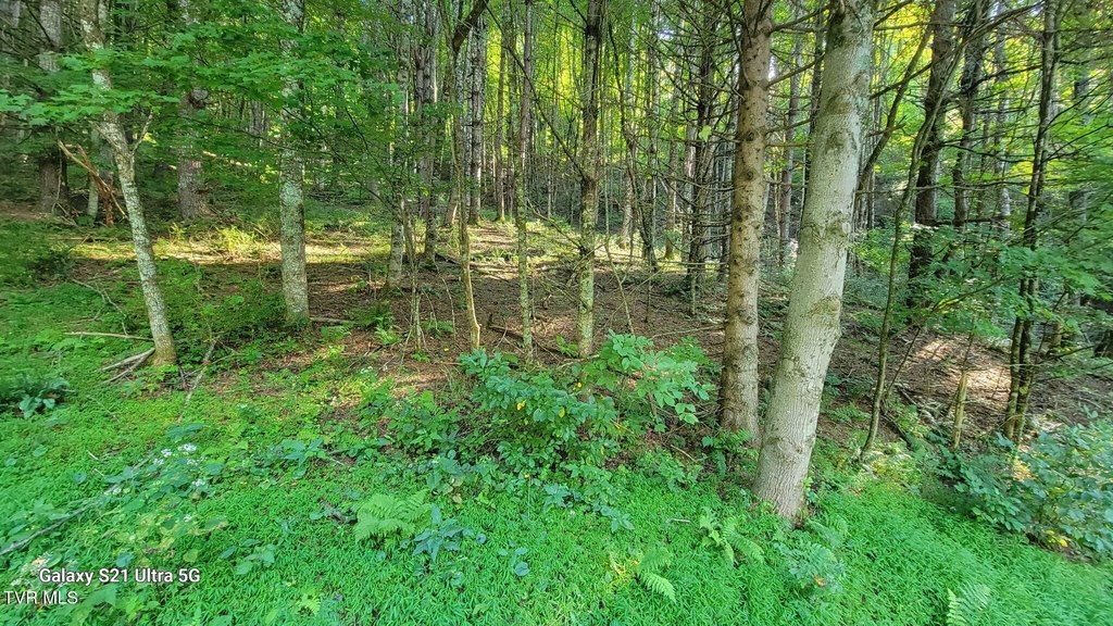 Picture 21