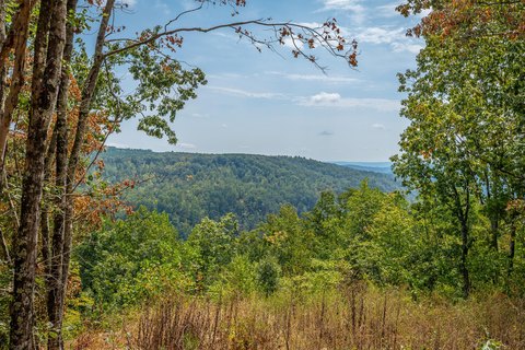 Land, Guild, TN