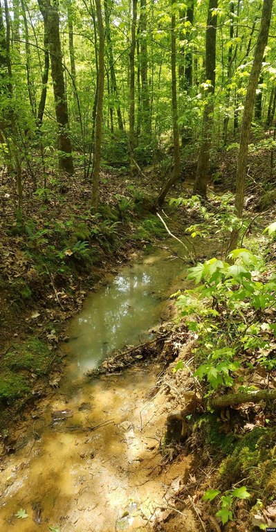 Picture 14