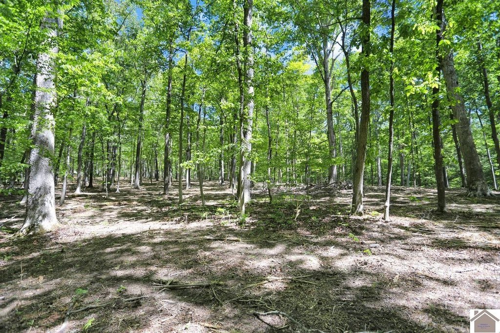 Picture 36