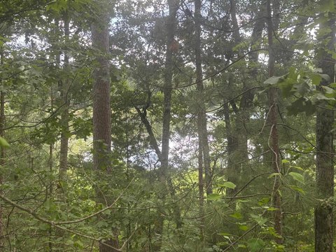 Amberg Land with Lake Frontage