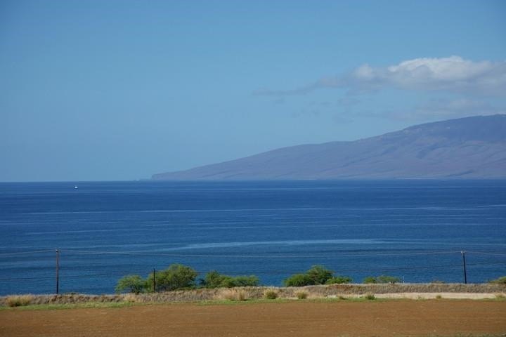Picture 13
