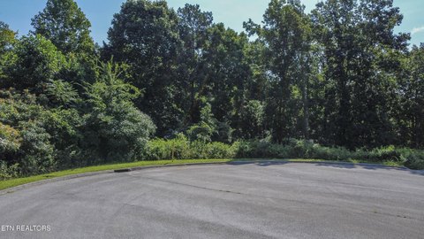 Lots & Acreage, Kingston, TN