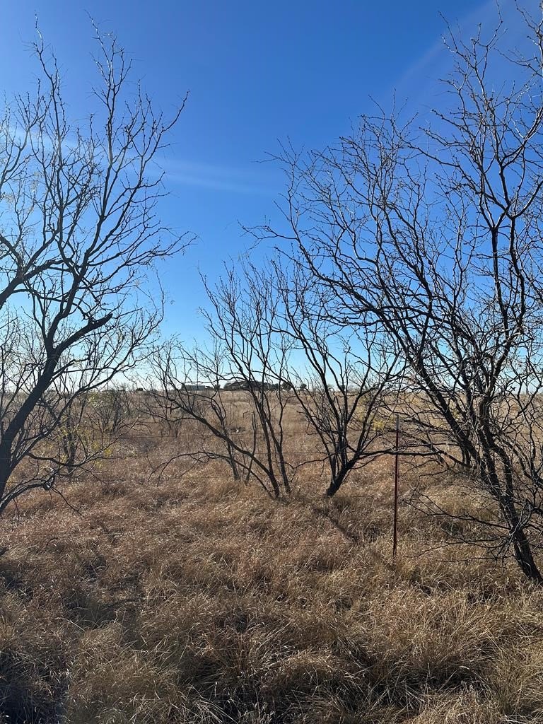 Residential Land in Round Top Estates