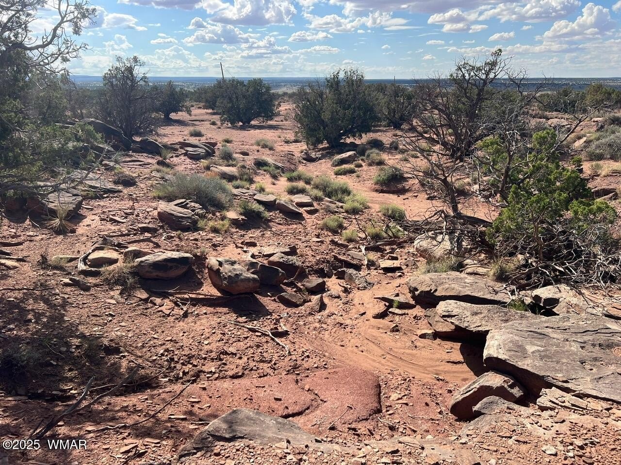 Land with State Land Border