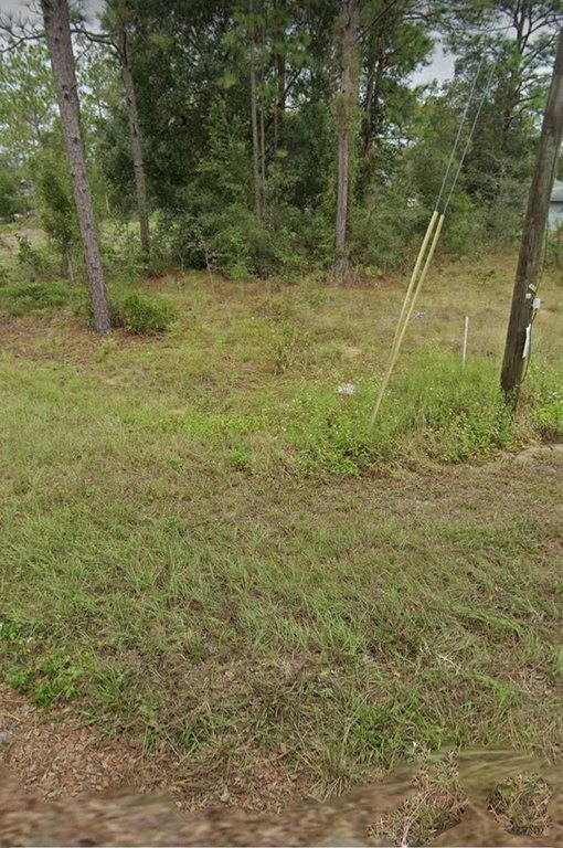 Picture 8