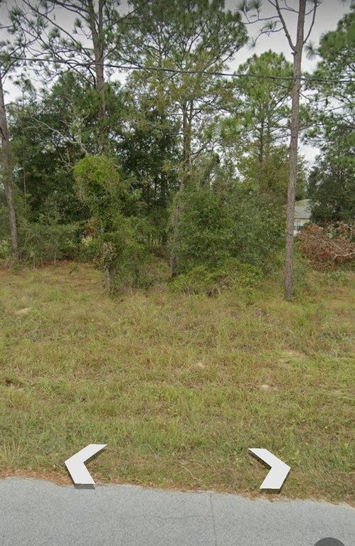 Picture 15