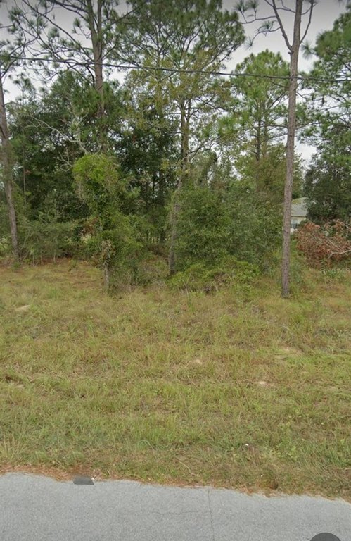 Picture 13