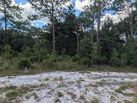 Land, MOUNT DORA, FL