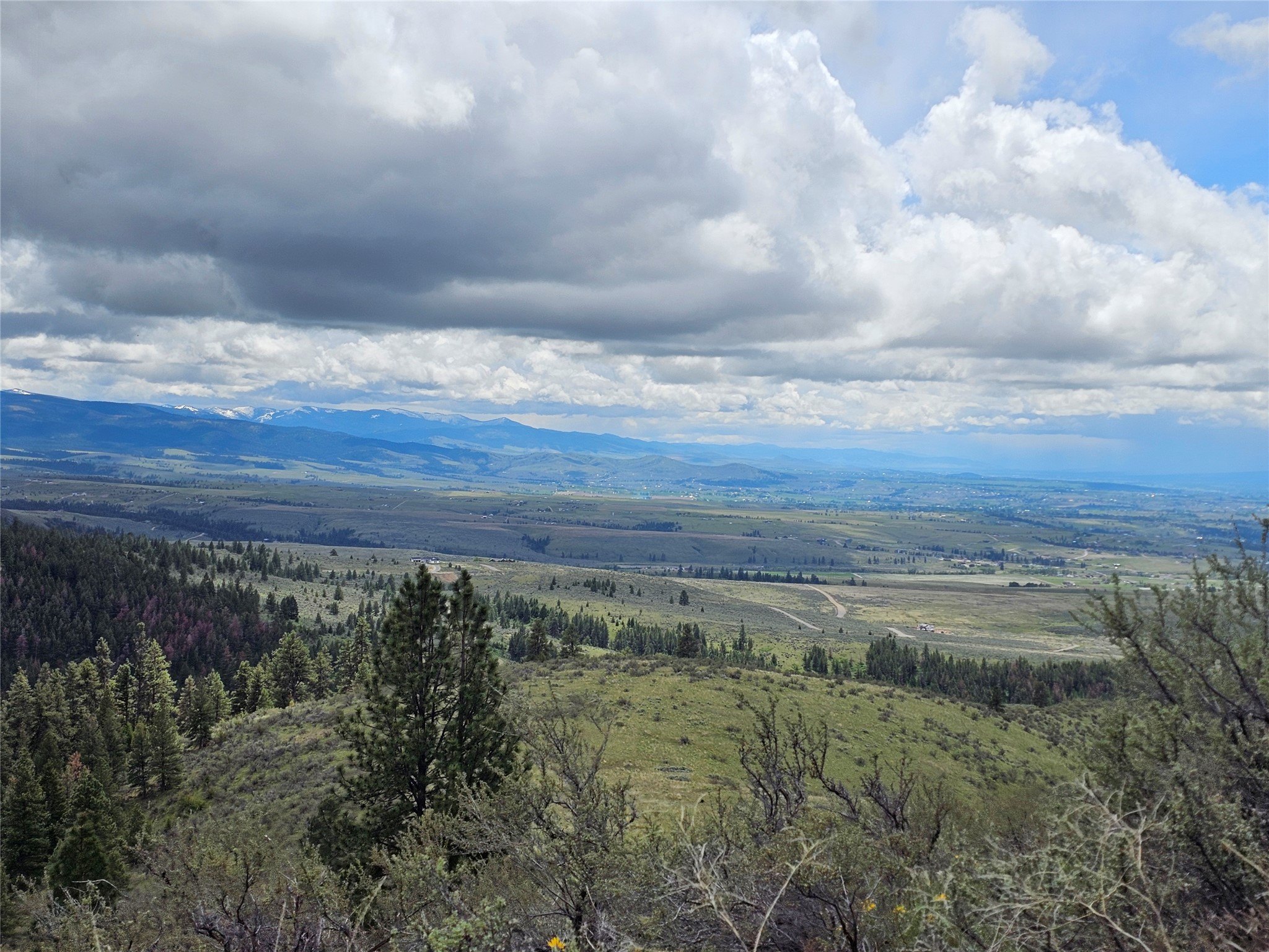 Versatile Land with Development Potential