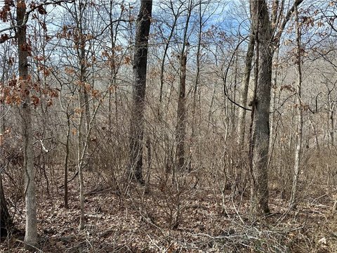 Wooded Lot in Bella Vista