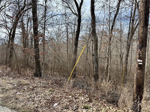 Wooded Lot in Bella Vista
