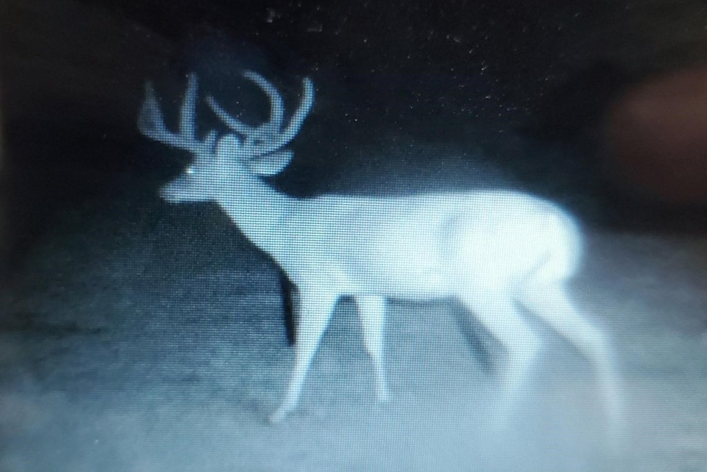 Picture 23