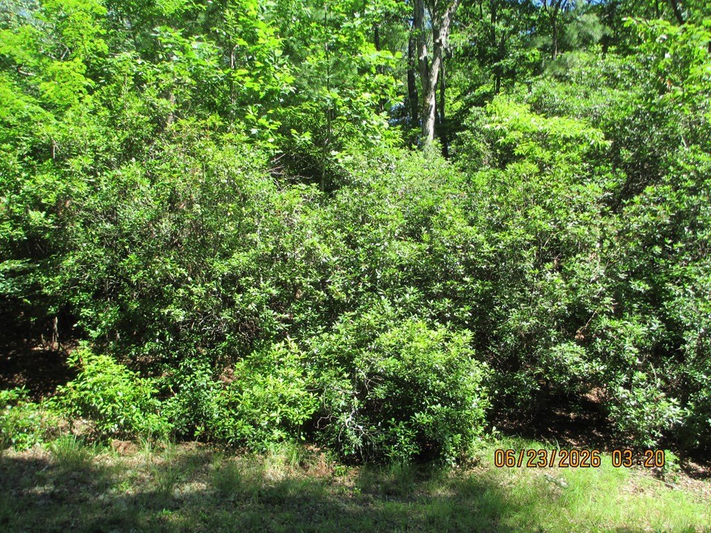Picture 8