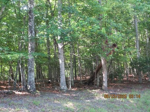 LAND - Warne, NC