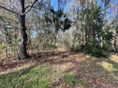 Land, OCALA, FL
