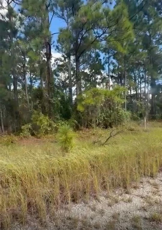 Picture 6
