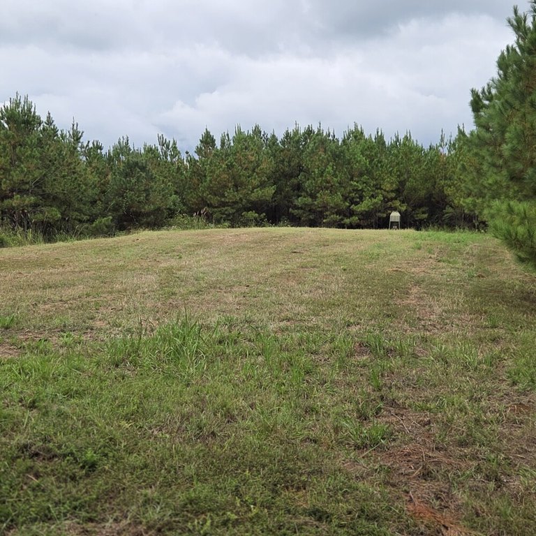 Picture 3