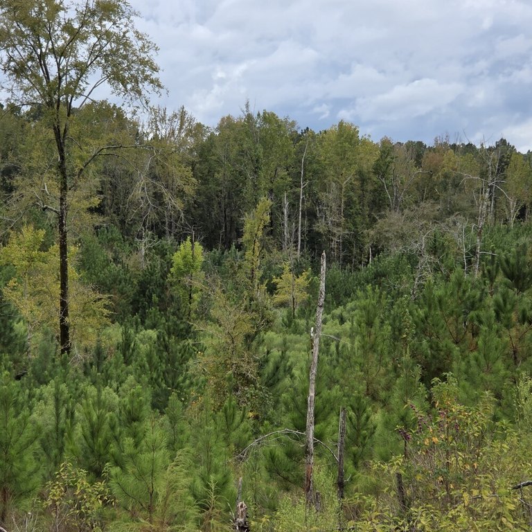 Picture 25