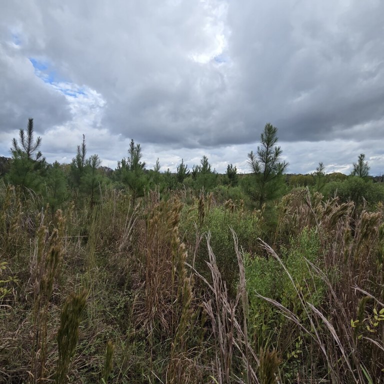 Picture 30