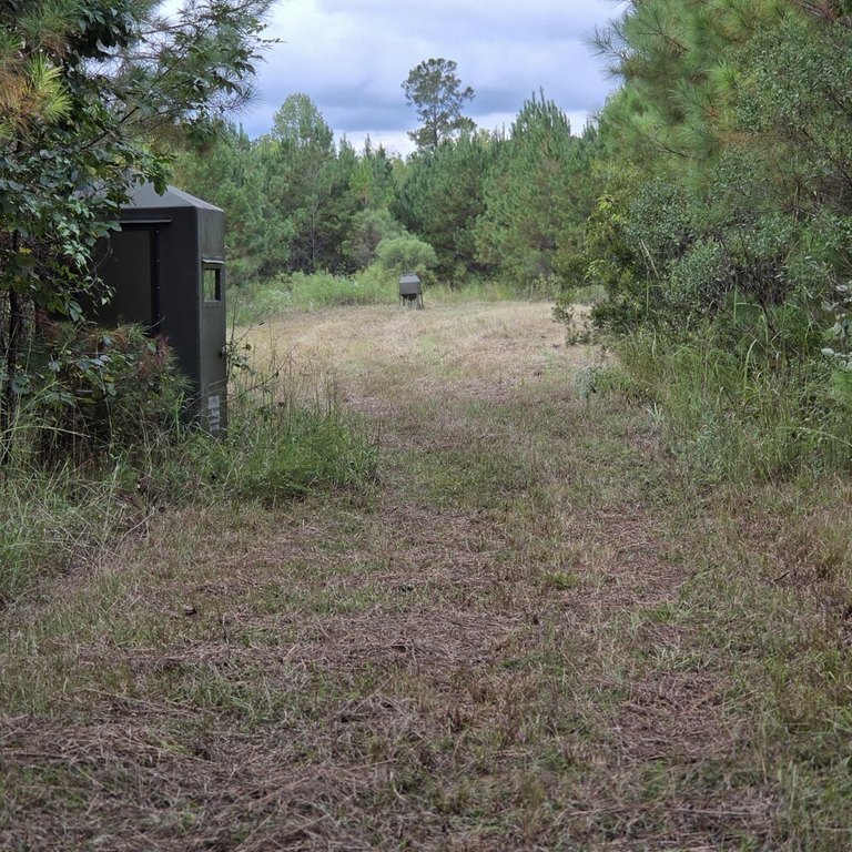 Picture 7