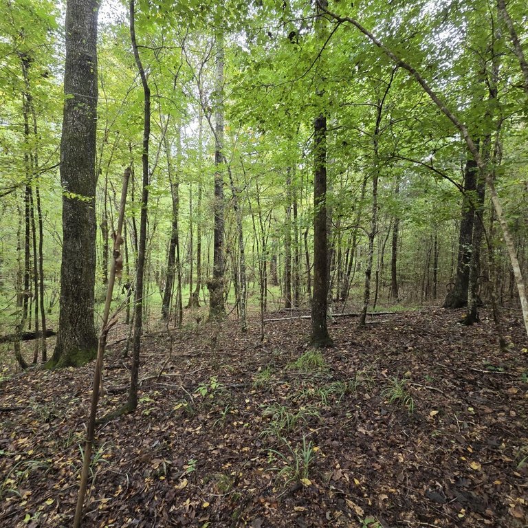 Picture 19