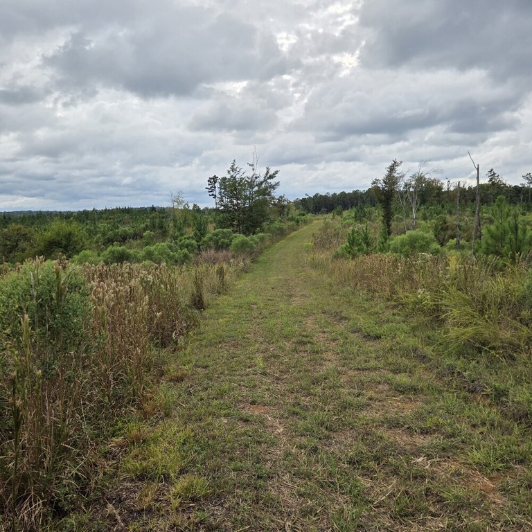 Picture 29