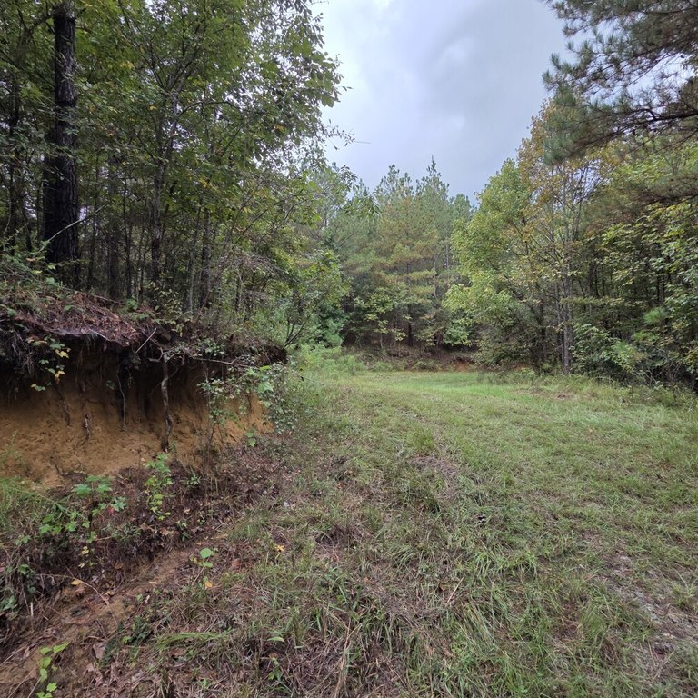 Picture 16