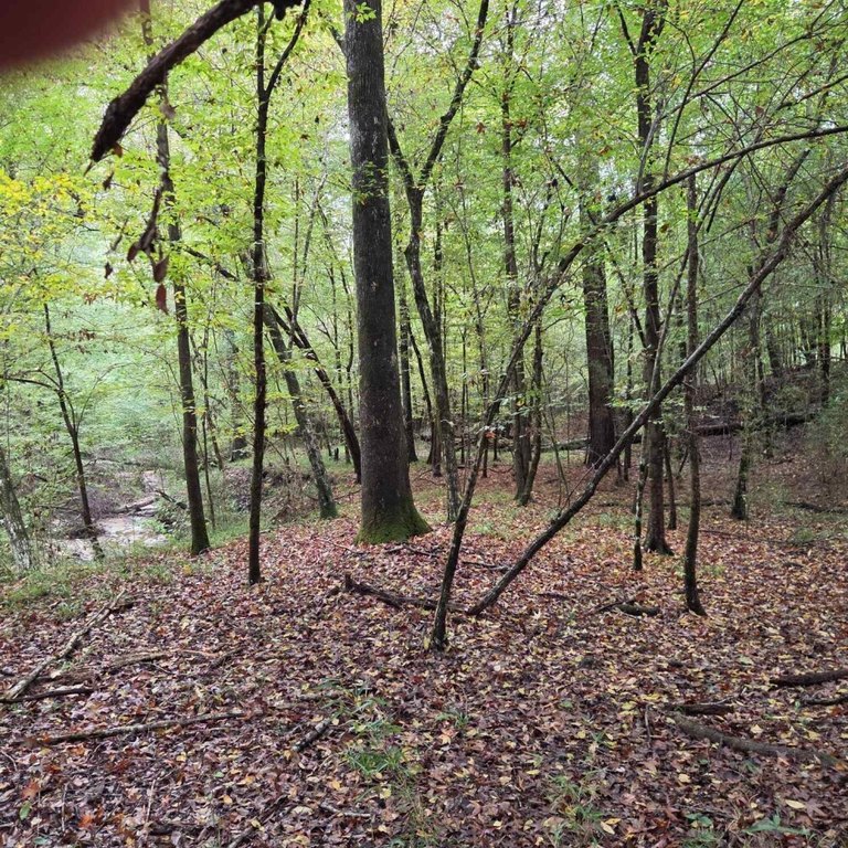 Picture 48