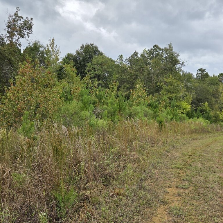 Picture 27
