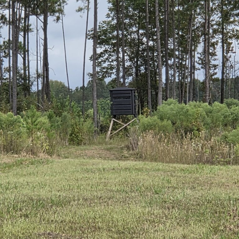 Picture 36