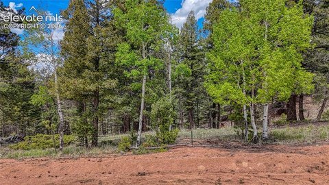LAND - Florissant, CO