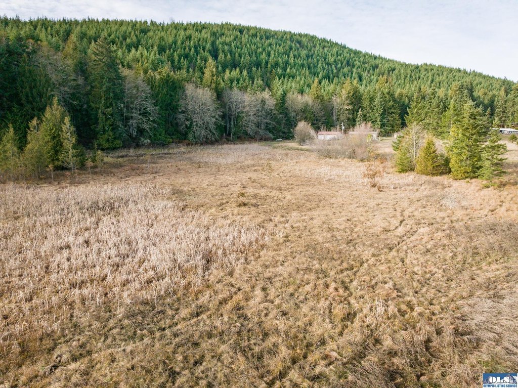 Picture 47