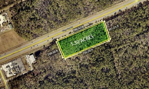 5.3 Acres on Kings Bay