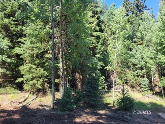 Residential Lot with Mountain Views