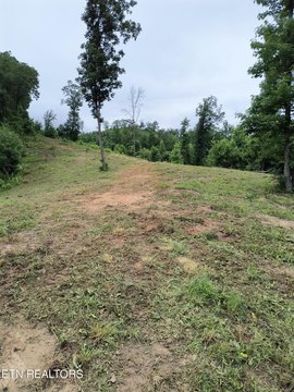 Lots & Acreage, Harriman, TN