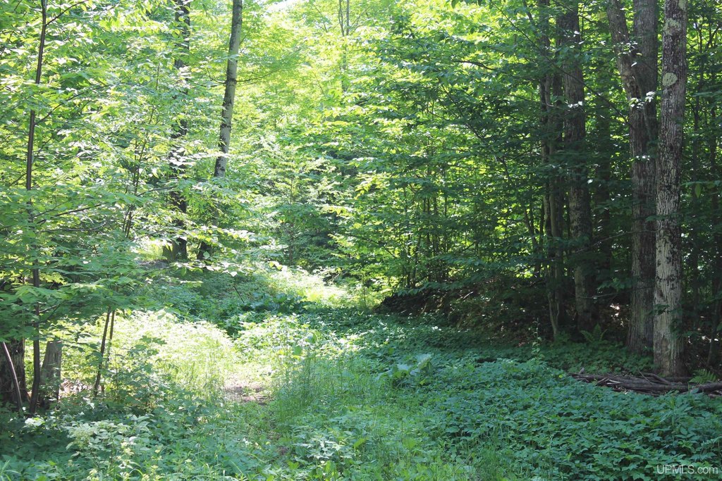 Picture 19
