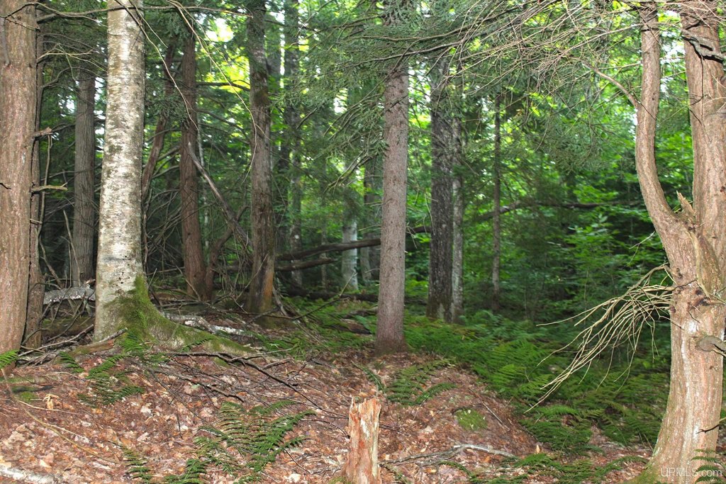 Picture 30